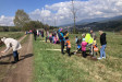 Nadace ČEZ pomohla vysadit 158 tisíc stromů