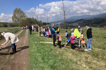 Nadace ČEZ pomohla vysadit 158 tisíc stromů