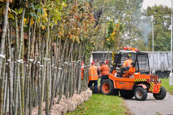 Hradec Králové zlepší péči o zeleň, pomůže dlouhodobá inventarizace